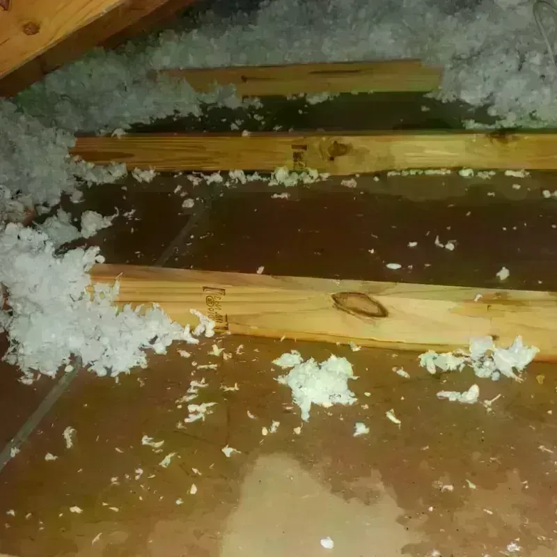 Attic Water Damage in Logan County, OH