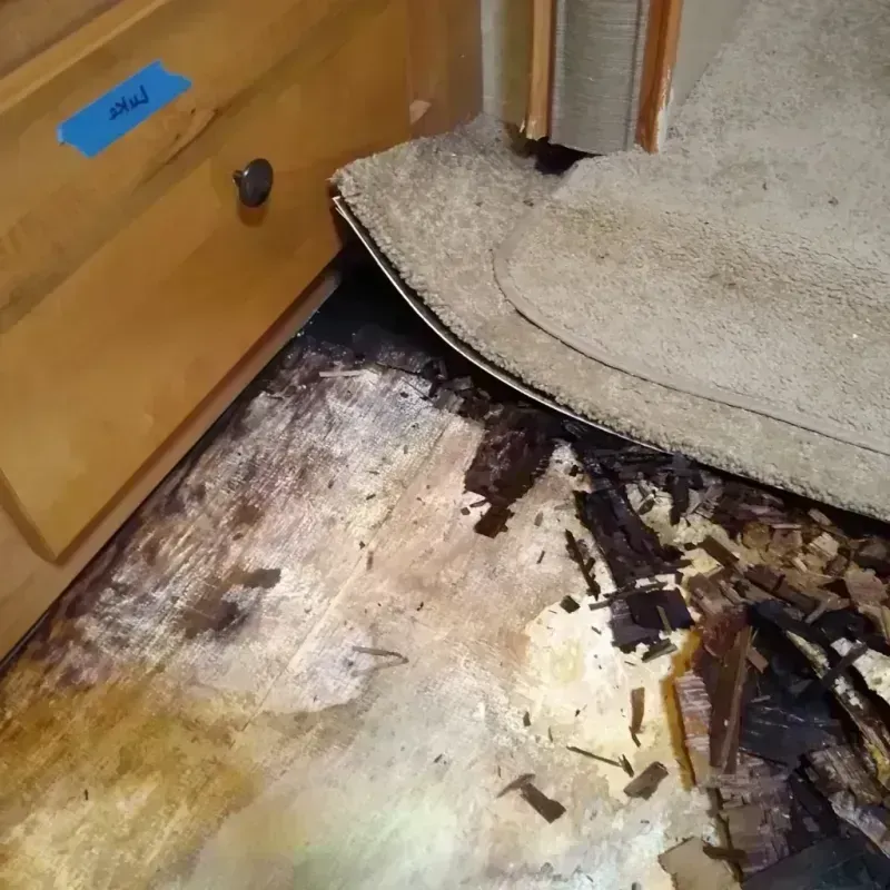 Best Wood Floor Water Damage Service in Logan County, OH